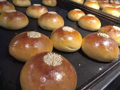 -卡吉诺动物奶油生日蛋糕(中原路店)