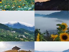 -新安江山水画廊风景区