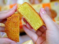 -新雅粤菜馆(南京东路店)