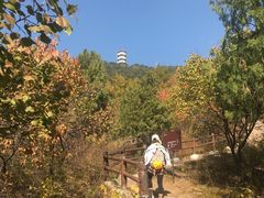 -蟒山国家森林公园天池停车场