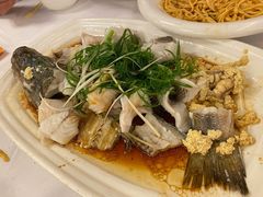 鲈鱼-朱仔记食府(江南大道店)