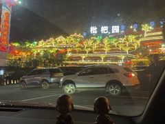 -枇杷园食为鲜火锅(南山店)