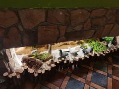 -嘉禾·悦享餐厅(八方汇店)