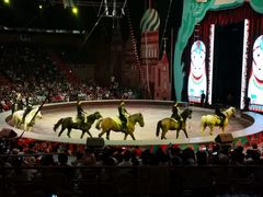 -俄罗斯国家大马戏团