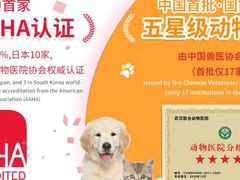 -联合动物医院(光谷诊疗中心)