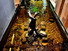 -邈墨茶馆(凤起路店)