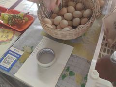 -马陆小张葡萄园农家乐