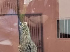 -青藏高原野生动物园