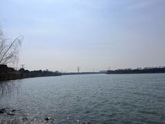 -漕湖湿地公园