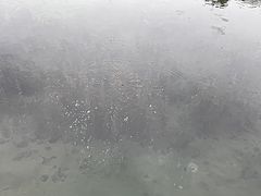 -百脉泉景区