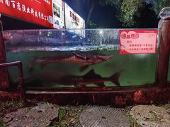 -天怡·鱼工厂(梅溪湖店)