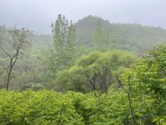 -云丘山景区