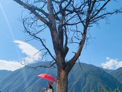 -萝卜寨羌文化生态旅游区