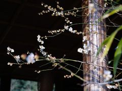 -苏州上方山国家森林公园