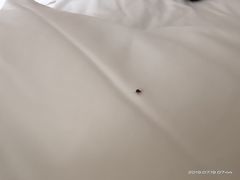 -全季酒店(上海火车站天目西路店)