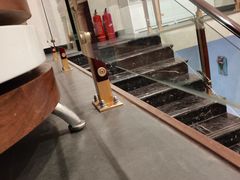 -宠爱国际动物医院·疑难骨科·心肾内科·皮肤科(太阳宫店)
