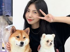 -怪兽屋·羊驼·猫咖·狗咖(俊华广场店)