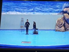 -福州罗源湾海洋世界旅游区