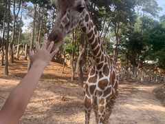 -清迈夜间动物园