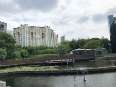 -苏州河梦清园环保主题公园