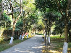 -燕晗山郊野公园