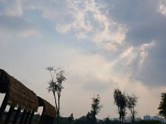 -白鹭湾湿地公园