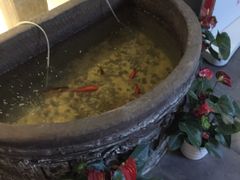 -御手国医·古法经络调理(光华店)