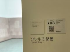 -金泽21世纪美术馆