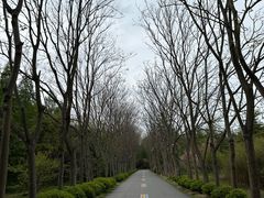 -日照海滨国家森林公园