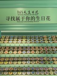 -青稚护手霜QINGZHI