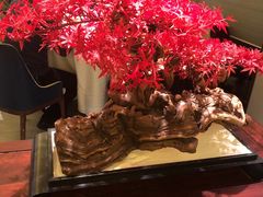 -顺峰(农展馆店)
