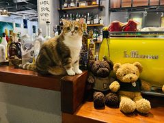 -咖法森林·咖啡  酒吧(天河店)