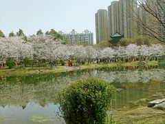 -堤角公园