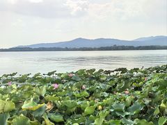 -石湖景区