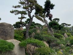 -罗红摄影艺术馆