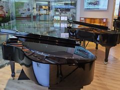 -柏斯音乐艺术中心·钢琴·吉他(世纪金源店)