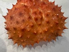 -友鹏海鲜(新宜白大道店)