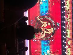 刘老根大舞台(正阳街分部)-大舞台剧场