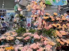 -盒马鲜生(新都心店)