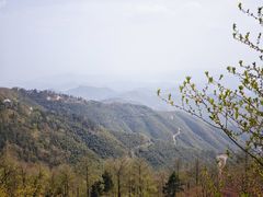 -莫干山风景区