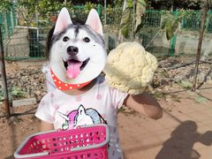 -任达丞国农庄(任达山庄店)