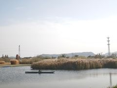 -良渚古城遗址公园