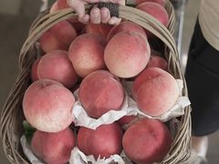 -叁山与肆客服号民宿(龙泉阳光城百工堰公园店)