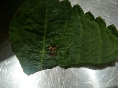 -合易泓烤肉•首创生椰大油边(宁山路店)