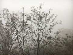 -封龙山风景区