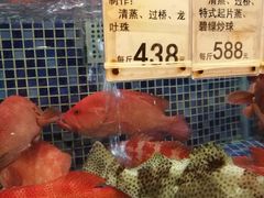 -太子园林酒家