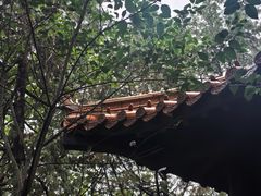 -云龙山