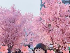 -首开·龙湖成都西宸天街