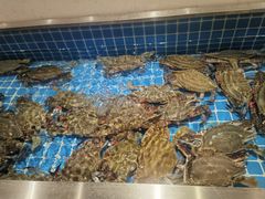 -腾阁自助餐厅(朝林广场店)