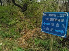 -阳台山自然风景区